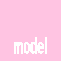 model index